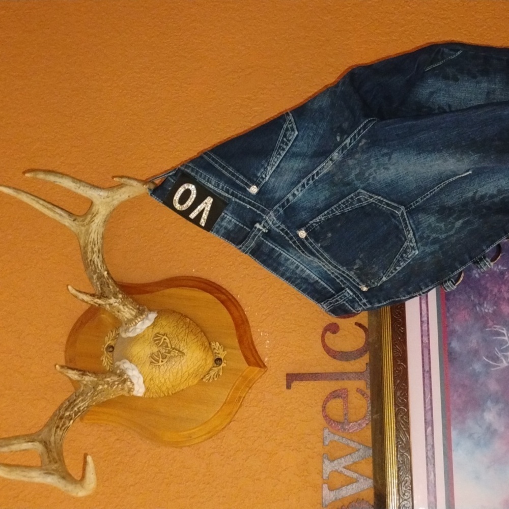 Crop Boho Jeans Silver Hoops Distress V O SZ 26 Capri